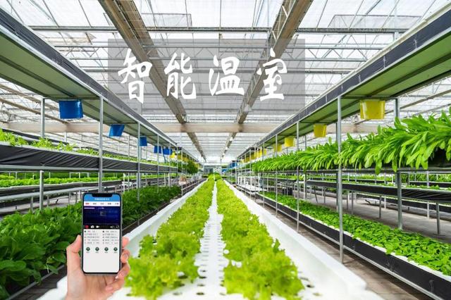 农业物联网赋能传统大棚升级，手机管控温湿度引领智能农业新时代