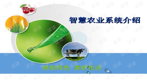 智慧农业智能化系统建设方案与管理软件文档解析