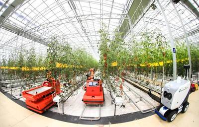 点点手机就能管理大棚，潍坊寿光以数字化赋能蔬菜产业升级