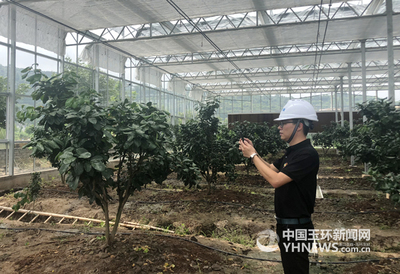 智能农业 告别“看天吃饭”，开启“智慧动脑”新纪元
