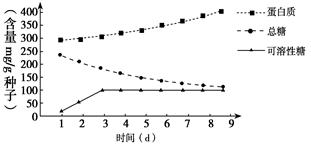 智能温室的现代化无土栽培技术 高效生产之道