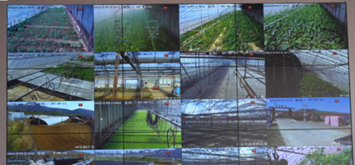 农业农村局打造区域数字农业发展新模式 智能农业管理的创新实践